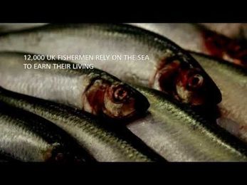 Why do we need a Navy?