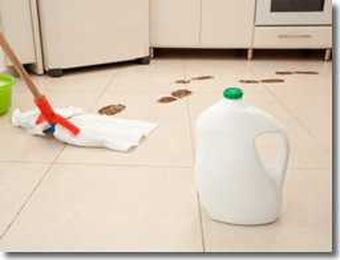 How to Clean Your Floors: Wood, Vinyl, & Laminate Floor Cleaning Tips
