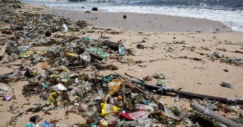 Ocean Plastics Absorb Other Toxins, Become Even More Dangerous To Marine Life