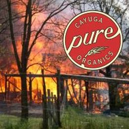 Help Cayuga Pure Organics, An Organic Non-GMO Farm, Rebuild After Fire