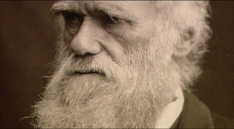 I’m a Direct Descendant of Darwin...and a Catholic