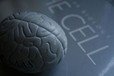 Warning Signs and Prevention of Strokes