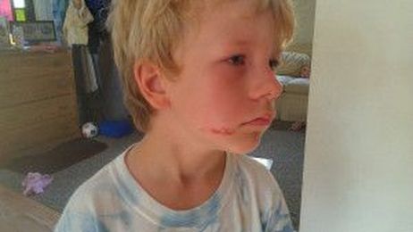 When the Mallow’s Flaming