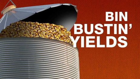 Fertilizing For High Yields