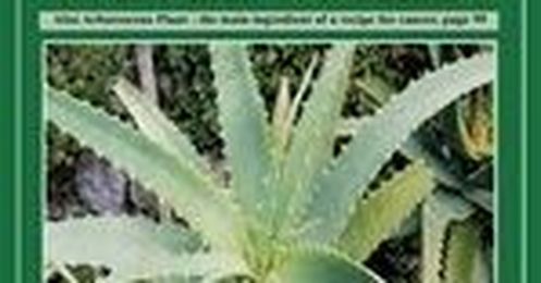 Father Romano Zago's Cure for Cancer Using Aloe Vera and Honey