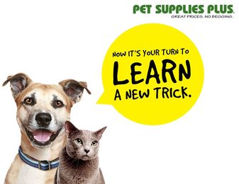 Pet Supplies Plus: "Made in USA" Products