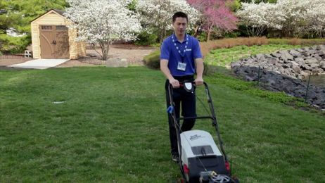 Tips For a Better Yard: Mowing and Edging
