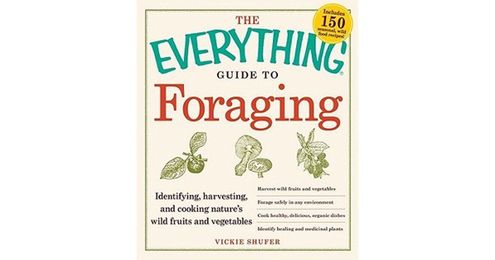 The Everything Guide to Foraging