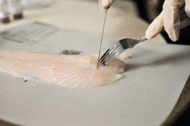 Report: There's Often Something Fishy With Seafood Labels