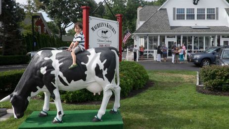 105 signs you're from Suffolk