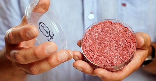 Is Lab-Grown Meat Good for Us?