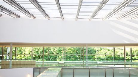 This Spray-On Chemical Could Make Window Blinds Obsolete