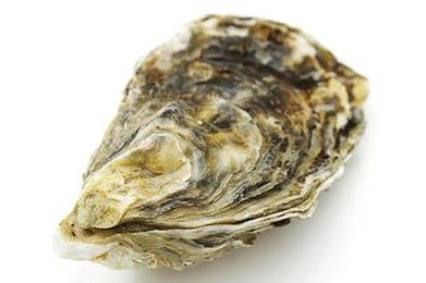The Best Way To Shuck An Oyster And Not Stab Yourself