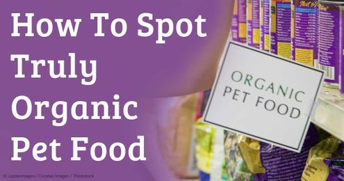 How to Spot TRULY Natural, Organic Commercial Pet Foods