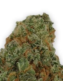 Discoveries From Self Storage Auctions