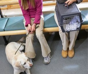 5 Things You Should Never Say in a Vet's Waiting Room