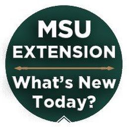 Know when to replace athletic shoes