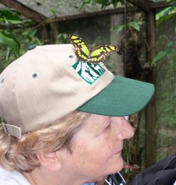 7 Animals to Bring You Good Luck