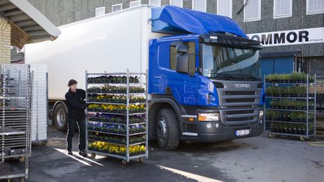 A Greener Way To Cool Your Foods On The Way To The Grocery Store