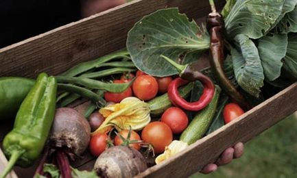 Beyond farmers markets: can food entrepreneurs boost buying local?