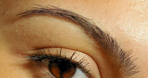 Learn How to Be a Brow Guru