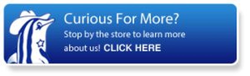 Did You Know? Swimming Pool Fun Facts from Dolphin Pool Supply