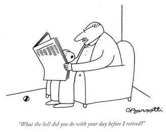 Filling the behavioral void: Training your highly energetic dog