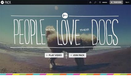 Roundup of Top 10 Best Website Designs