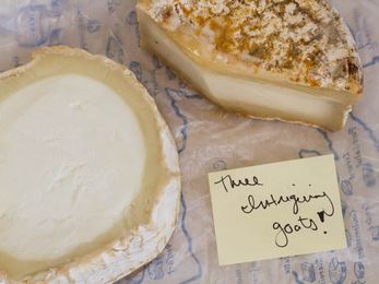 Serious Cheese: 3 Unusual Goat's Milk Cheeses to Get You Hooked