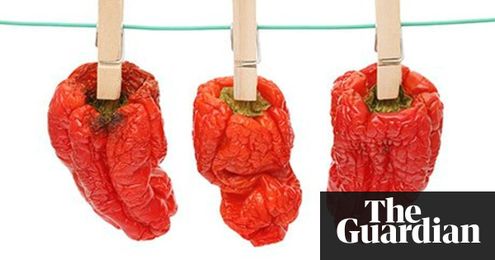 Dry, pickle and freeze: how to preserve your crops