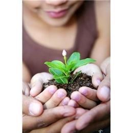 Legacies, Like Gardens, Take Time And Planning