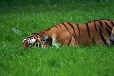 How to Fall In Love with the Process to Stay Focused & Motivated