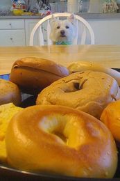How Healthy is Your Bagel?