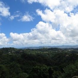 "It Is Sink or Swim For the Caribbean"