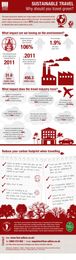 Putting Travel Footprints and Carbon Emissions Calculators into Perspective