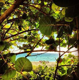 How to Spend Your Destination Vacation