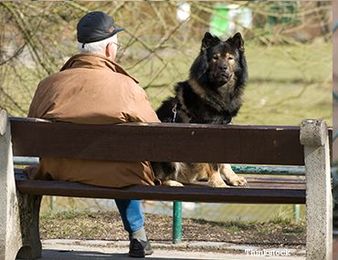 Pets Help Cure Loneliness in Seniors