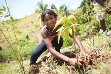 Sowing the Future: How the church can help promote sustainable development goals