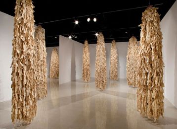 Getting to know site-specific installations at ASU, SMoCA