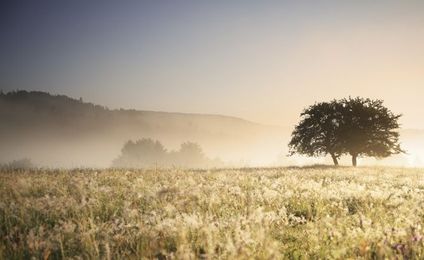 How To Get An Accurate Land Appraisal