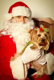 Holiday deals, boarding, grooming and MORE at My Pet Garden!