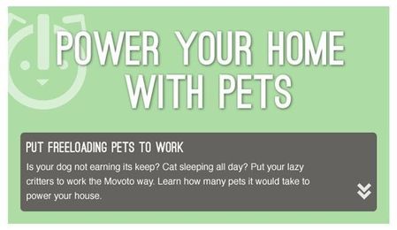 Animal House: Power your home with pets
