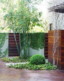 Modernize Your Garden With Bamboo