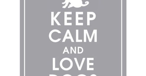 Products for Dogs and their Humans