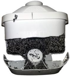 Eliminate That Rotten Egg Smell From Your Water