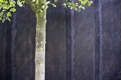 Why We Learn The Alexander Technique