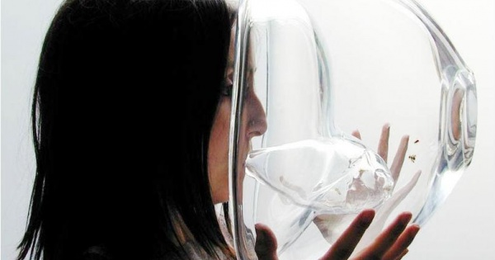 This device uses honey bees to detect cancer