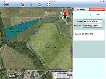 App Divides up Tree Stem for Loggers