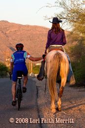 MT. BIKERS vs EQUESTRIANS: An explanation of horses to bikers