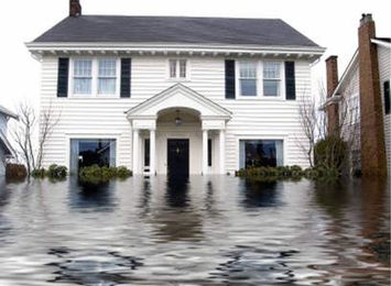 Tips On Buying A Home With Water Damage